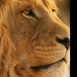 Meet your Posher, Darryl